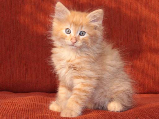 Bekijk de mooiste foto's van Charu