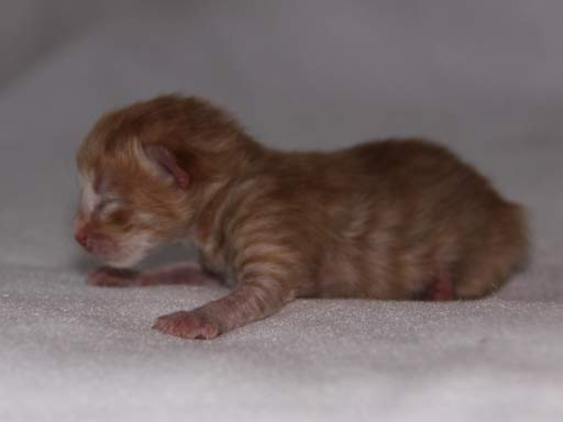 Een van de eerste foto's gemaakt van Aimi