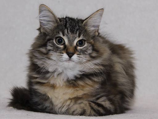 Bekijk de mooiste foto's van Aimi