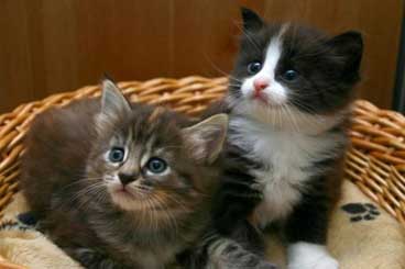 Like samen met haar zusje Wendela