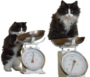 Moet ik hier echt op gaan staan? Dat ziet er eng uit hoor! Zie je wel, het is eng, dat wijzertje maak veel geluid en het beweegt. En ik moet stil zitten? Ik wil die wijzer pakken!