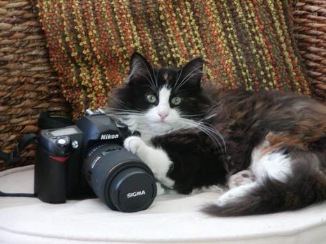 Voor al het betere camerawerk, bel Like